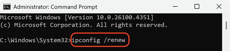 命令提示符與 ipconfig /renew 命令。如何在 Windows 上清除 DNS 快取